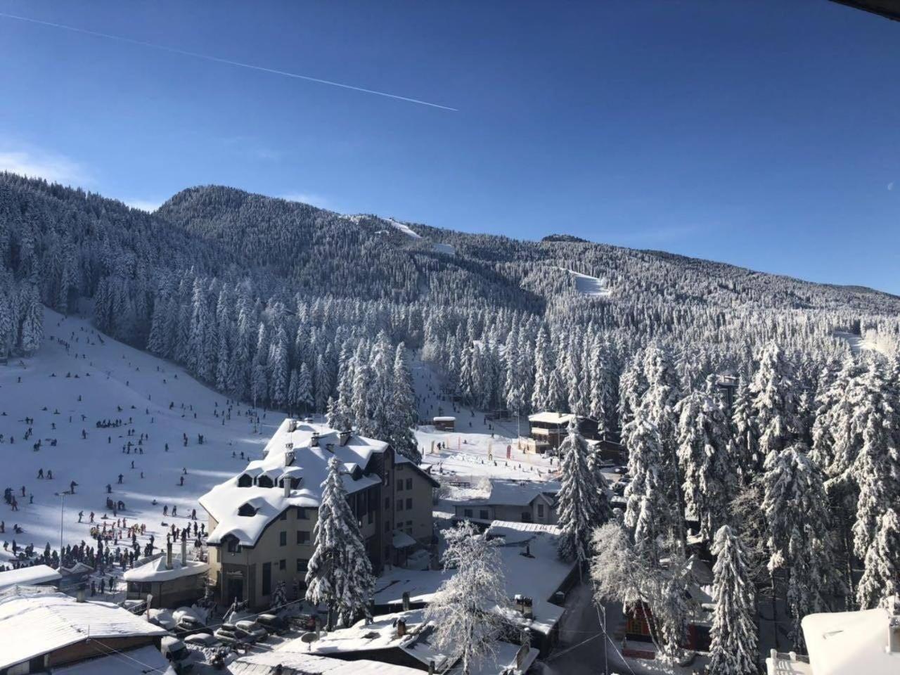 Apartment Iva - Iglika 2 Borovets Exterior photo